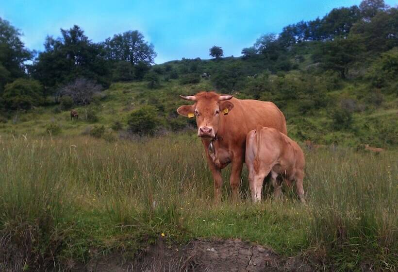 Belvilla By Oyo Olivi Tutto