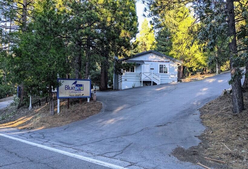 هتل Bluebird Cottage Inn