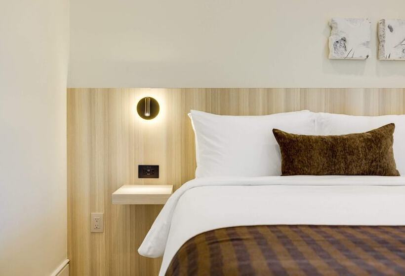 فندق Casa De La Vina