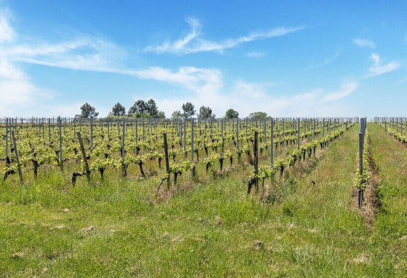 Отель Lovely Chateau 25 Min From Bordeaux