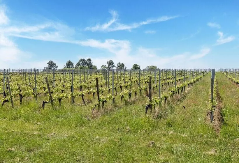 Hotelli Lovely Chateau 25 Min From Bordeaux