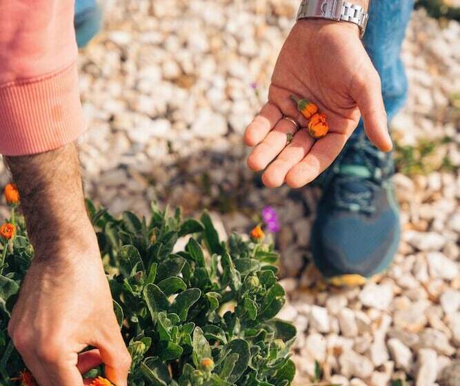 בית מלון כפרי Milea Agritourism