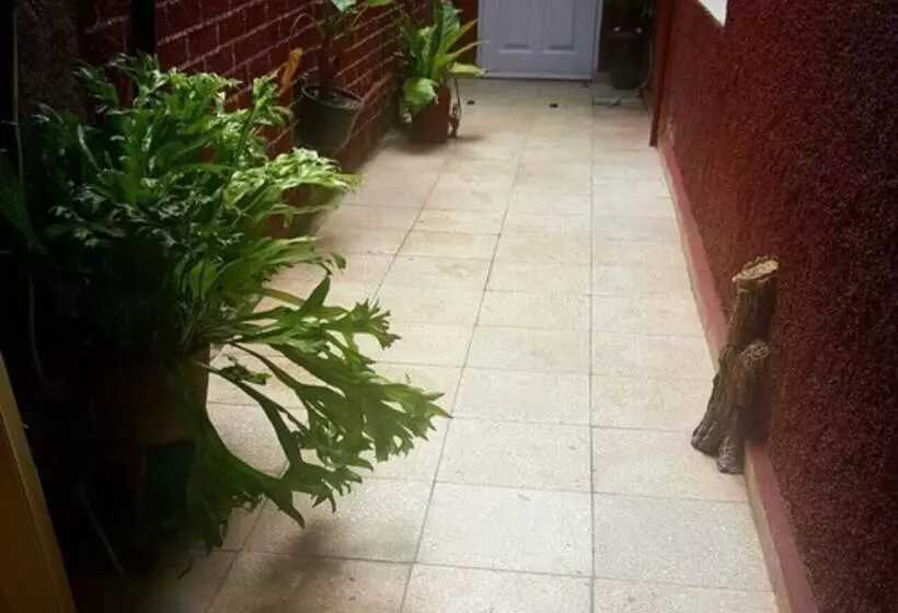 ペンション Casa Rodolfo Y Amarilis Holguin