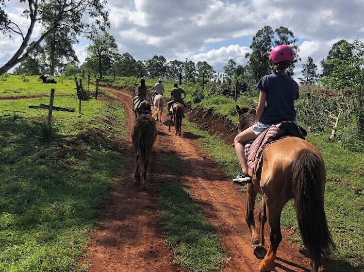 Piedra Y Agua Eco Lodge