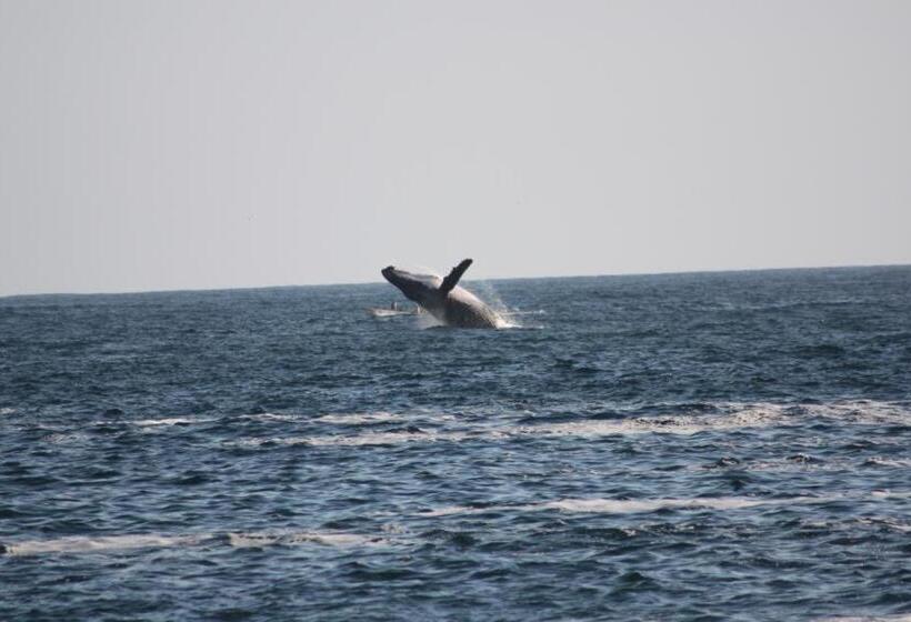 בית מלון כפרי Bahía De La Luna
