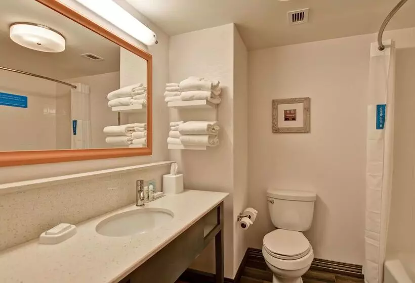 ホテル Hampton Inn Atlanta Kennesaw