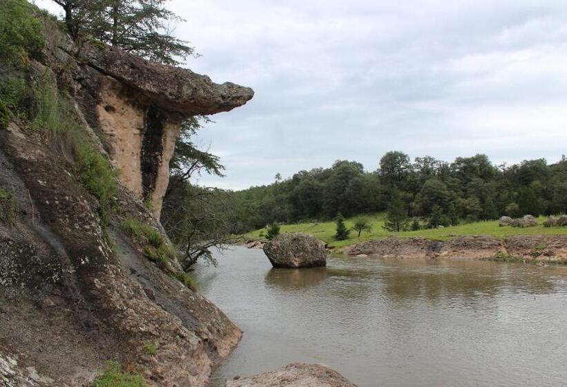 בית מלון כפרי Paraiso Del Oso