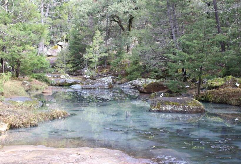 בית מלון כפרי Paraiso Del Oso