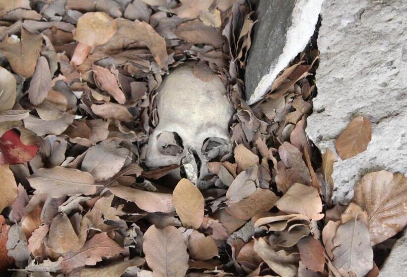 בית מלון כפרי Paraiso Del Oso