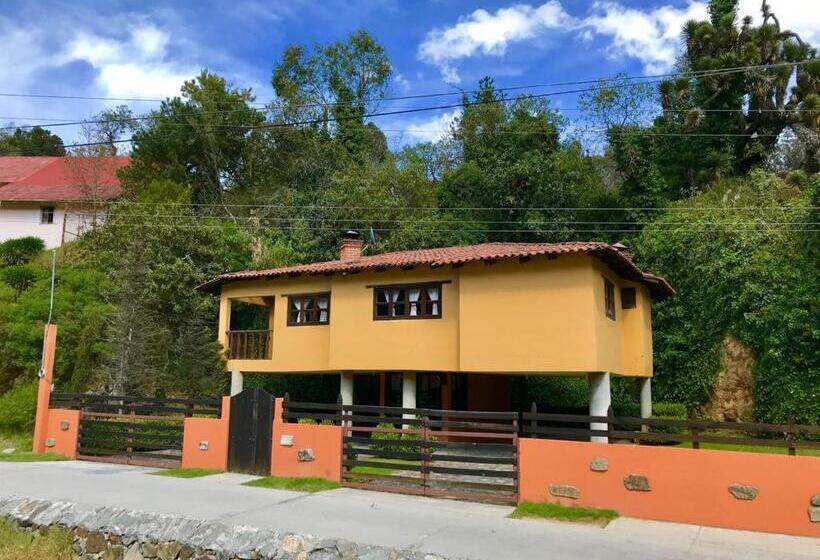 ホテル Spa Holistico Real