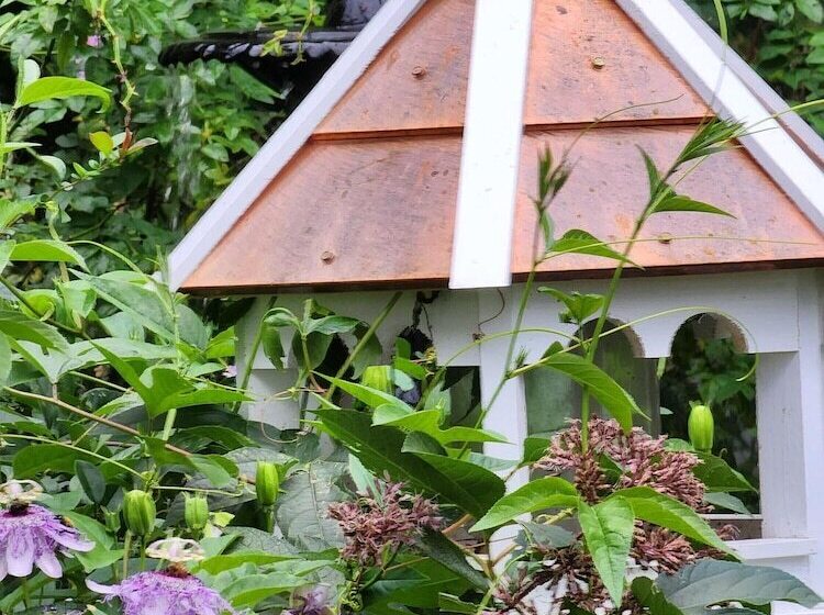 House Of 1833 Bed And Breakfast