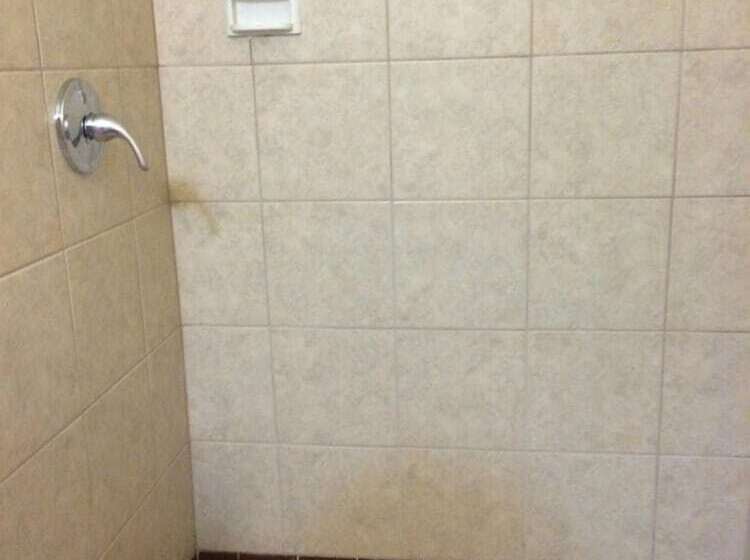 モーテル Blarney Inn