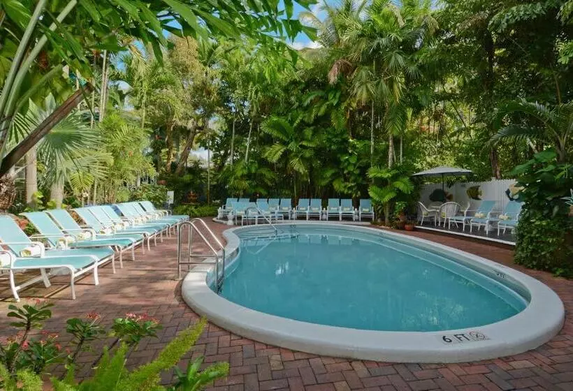 Pineapple Point Guesthouse & Resort   Gay Men S Resort