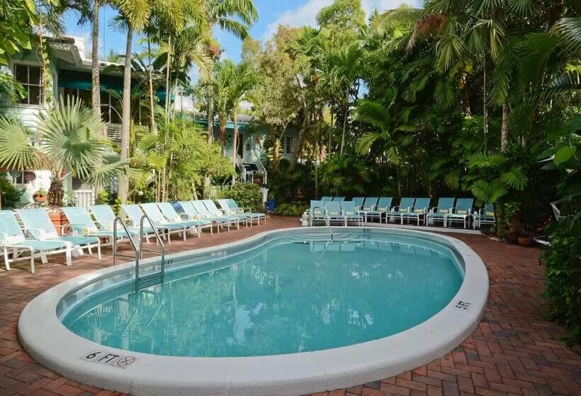 Pineapple Point Guesthouse & Resort   Gay Men S Resort