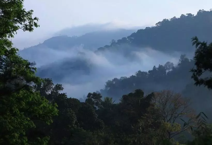 ホテル Broad Bean Resort & Spa