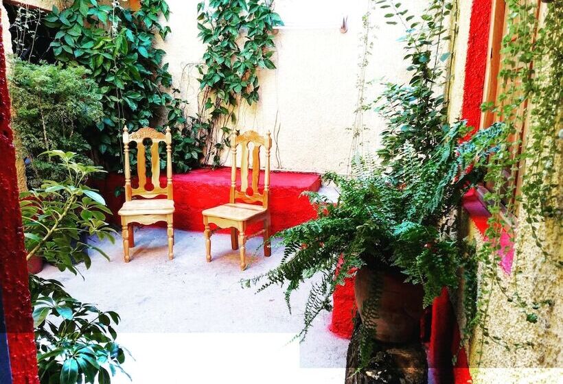 پانسیون Casa B&b Amarilys