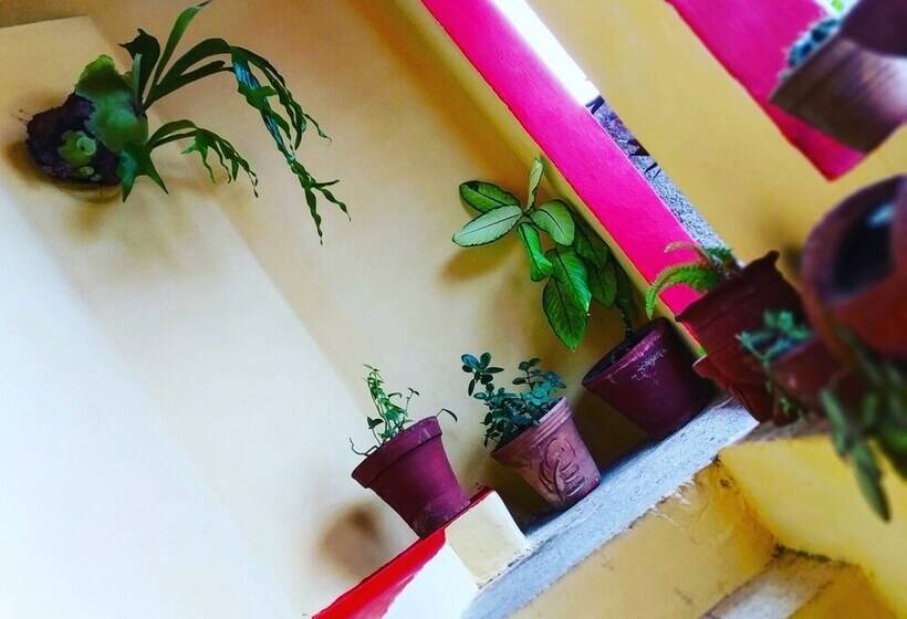 پانسیون Casa B&b Amarilys