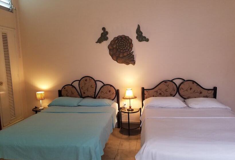 پانسیون Maison Carnot