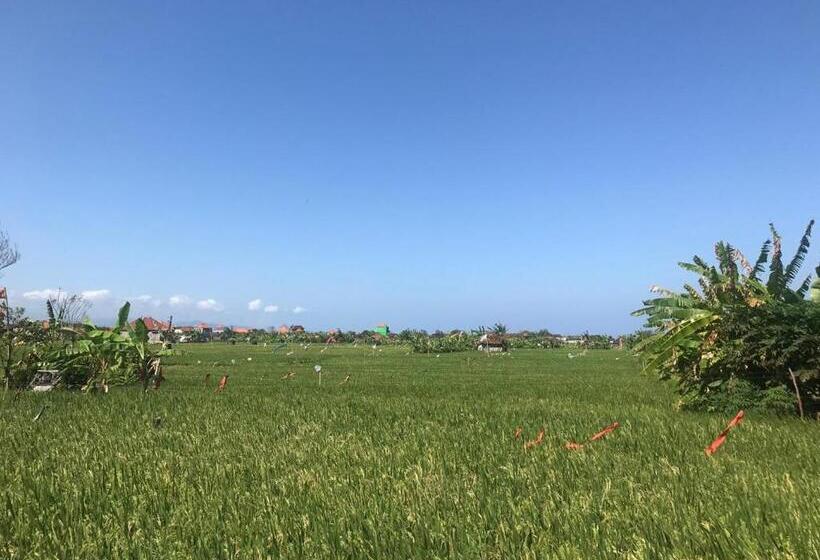 Ketewel Bed & Breakfast Yoga Room