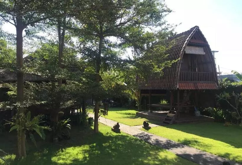 Ketewel Bed & Breakfast Yoga Room