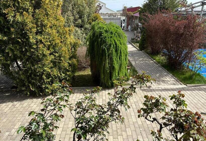 پانسیون любимый