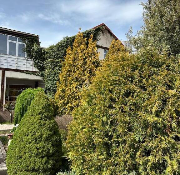 پانسیون любимый