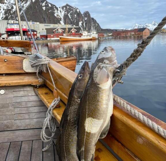Пансион Arctic Ocean Lodge