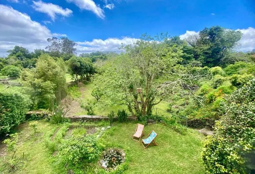 ペンション Casa Dos Castanheiros Guesthouse Azores