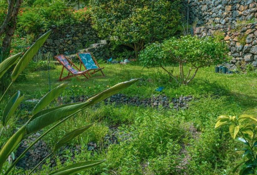 پانسیون Casa Dos Castanheiros Guesthouse Azores