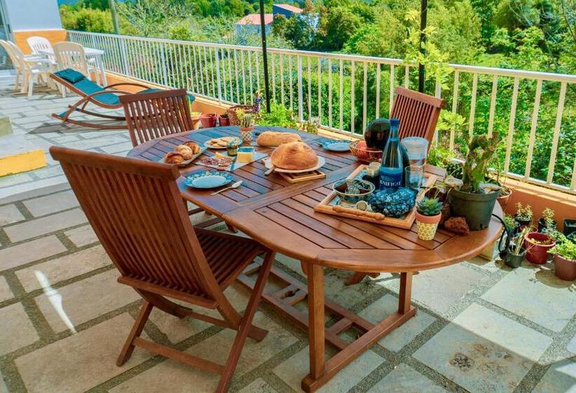 پانسیون Casa Dos Castanheiros Guesthouse Azores