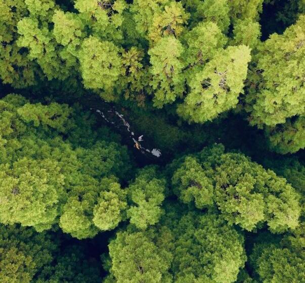 پانسیون Casa Dos Castanheiros Guesthouse Azores