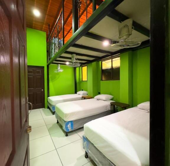 پانسیون Madroño Hostel