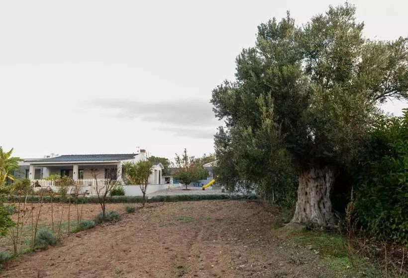 Lomakeskus Bi   Masa Culinary Farm