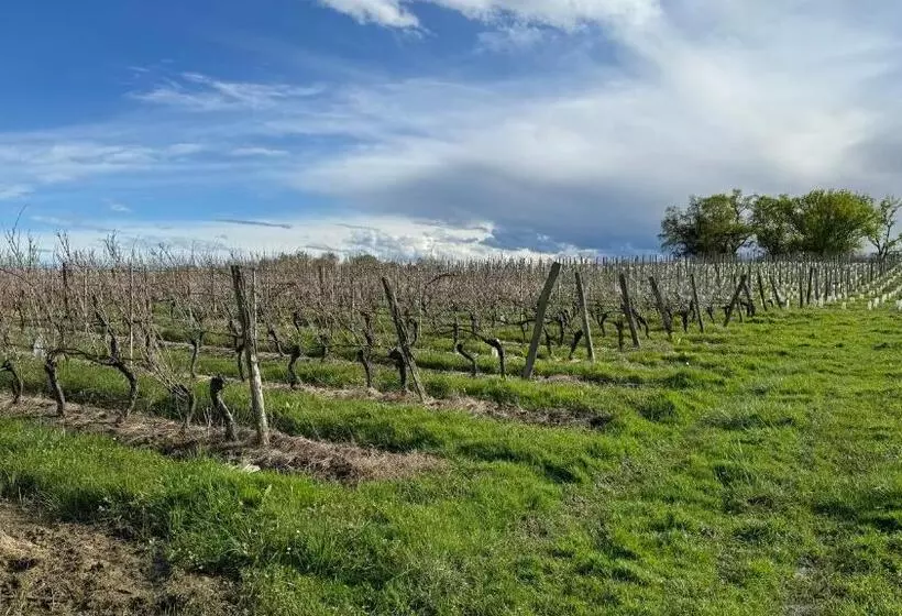 ベッドアンドブレックファースト Chambre D Hôte Dans Le Château De Mauhic