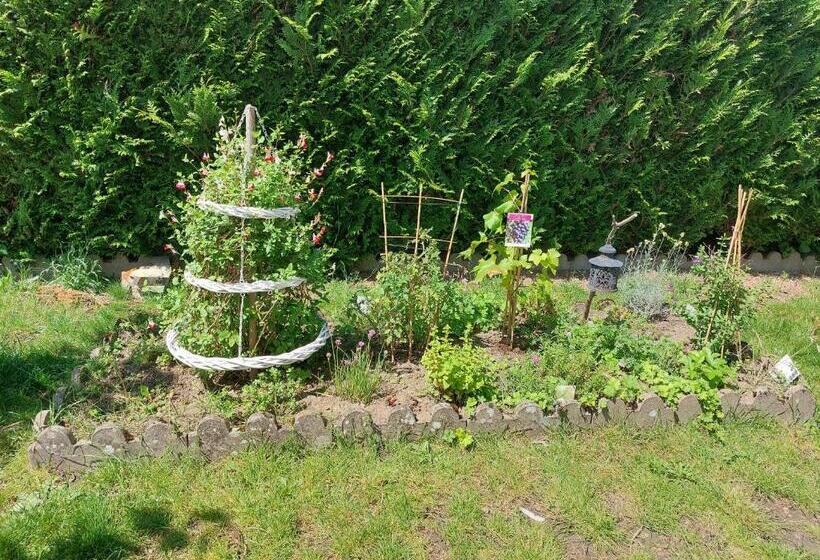 Aamiaismajoitus (B&B) L échappée Montrichardaise