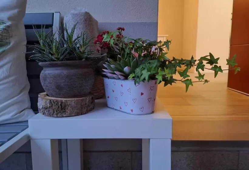 Aamiaismajoitus (B&B) La Tana Del Geco