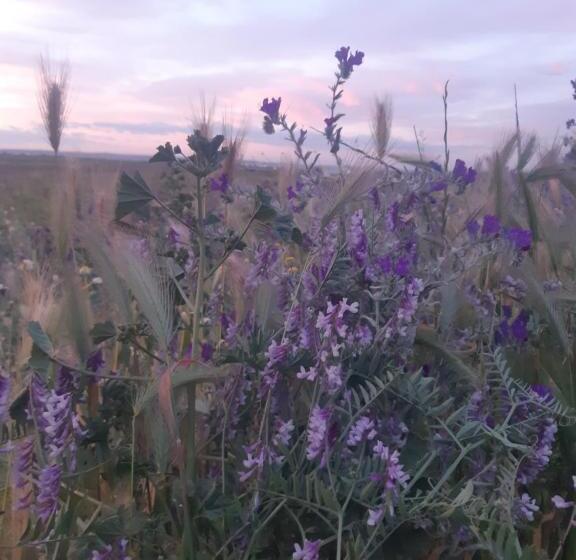 مبيت وإفطار Humanes