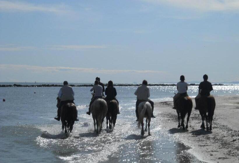 هتل Agriturismo Ca Marina