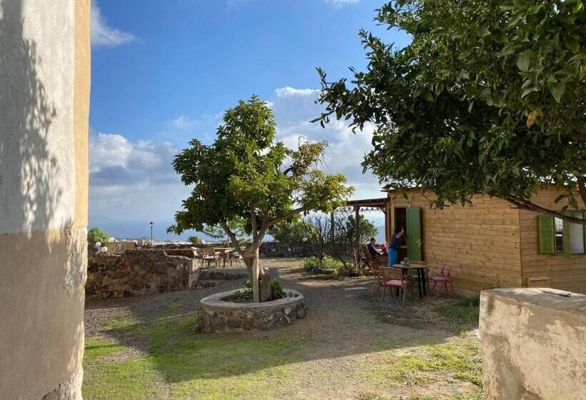 پانسیون Biofinca Casa El Riego