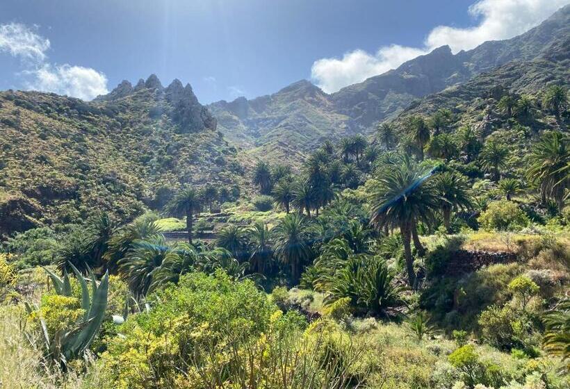 پانسیون Biofinca Casa El Riego