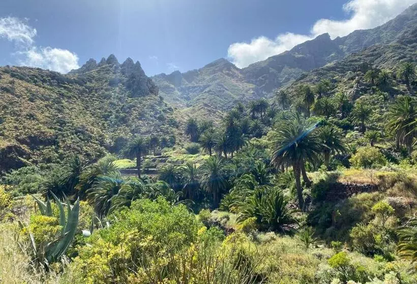Majatalo Biofinca Casa El Riego