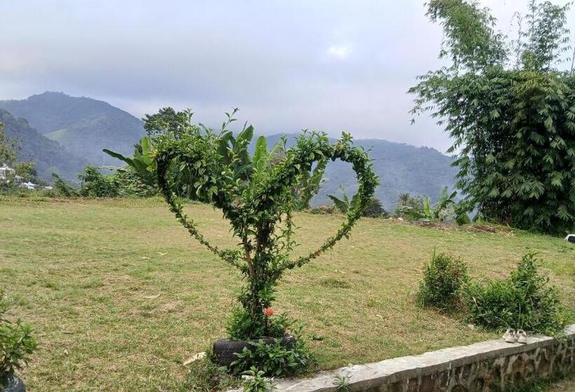 פנסיון Rice Field Guest House