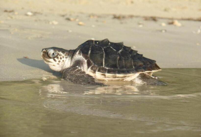 Secret Paradise Resort & Turtle Sanctuary