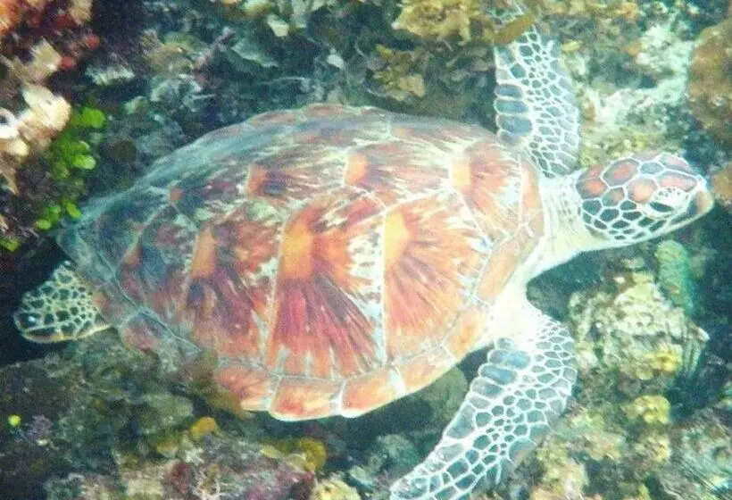 Secret Paradise Resort & Turtle Sanctuary