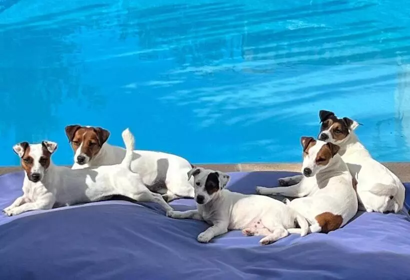 ベッドアンドブレックファースト Le Relais Du Puy