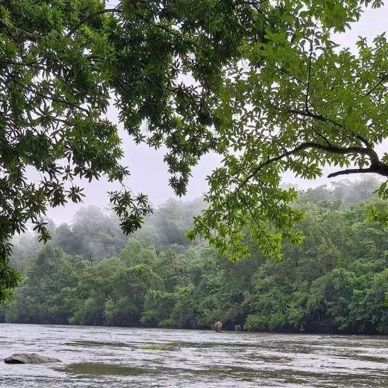 Falcon Riverview Resorts