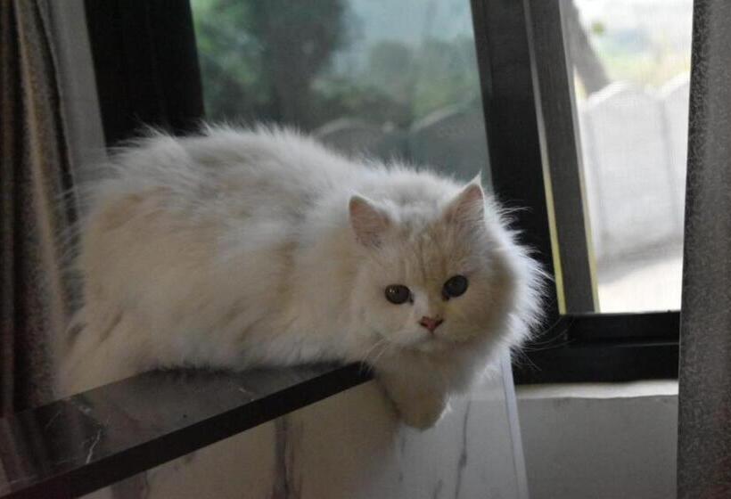 Green Orchid Resort And Farm