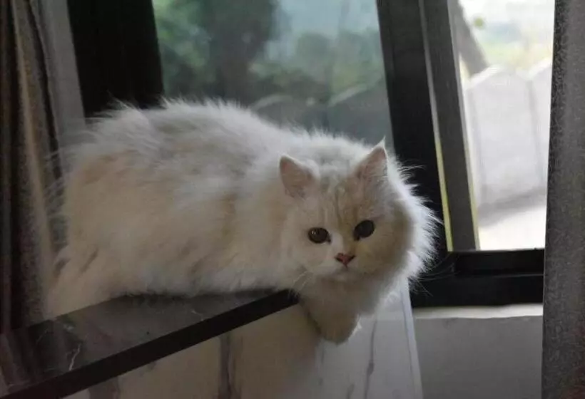 Green Orchid Resort And Farm