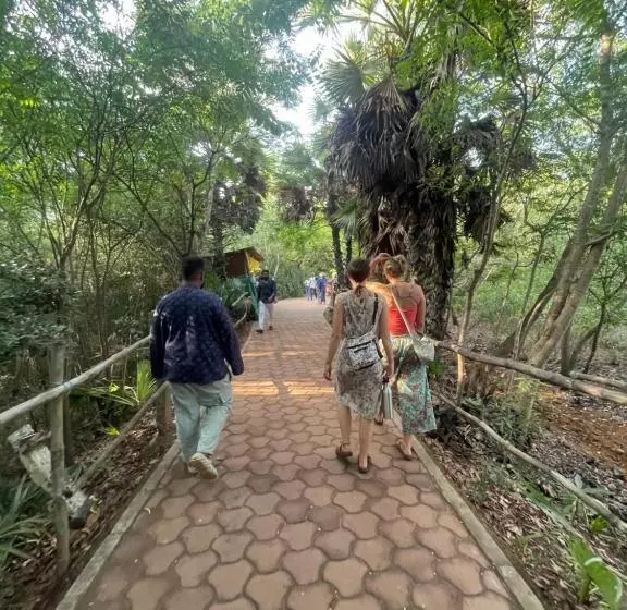 Hostel Exp, Auroville   A Rural Retreat Experience