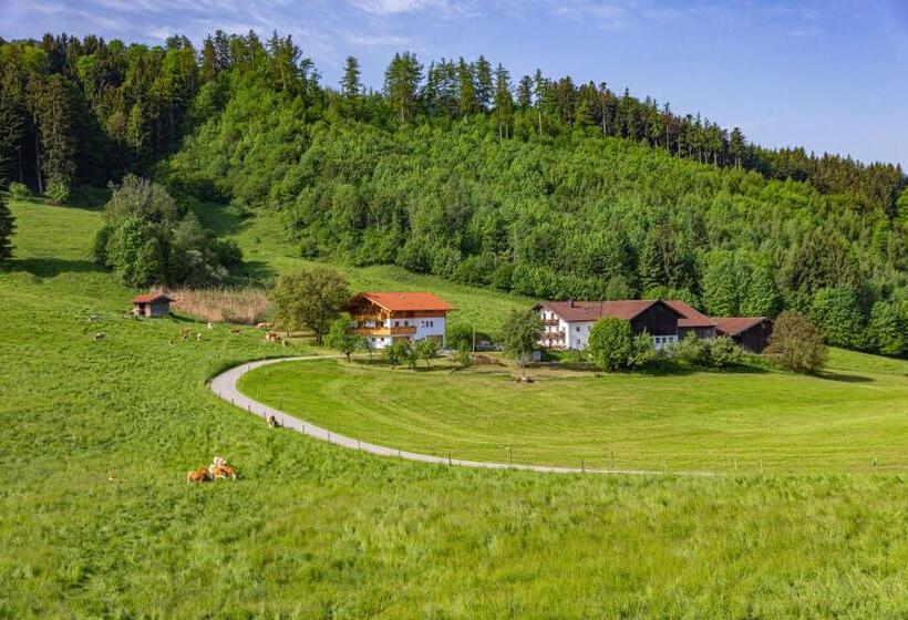 Отель Wieserhof